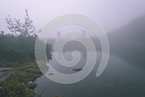 Misty morning view in wet mountain area in slovakian tatra. mountain lake panorama - vintage film look