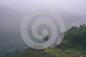 Misty morning view in wet mountain area in slovakian tatra. mountain lake panorama - vintage film look