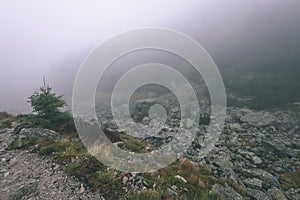 Misty morning view in wet mountain area in slovakian tatra. tour