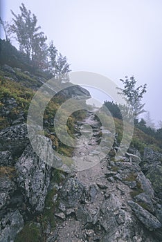 Misty morning view in wet mountain area in slovakian tatra. tour