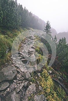 Misty morning view in wet mountain area in slovakian tatra. tour