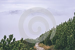 Misty morning view in wet mountain area in slovakian tatra. tour