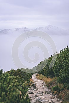 Misty morning view in wet mountain area in slovakian tatra. tour