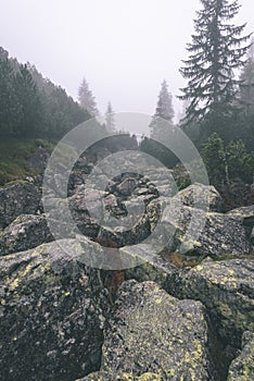 Misty morning view in wet mountain area in slovakian tatra. tour