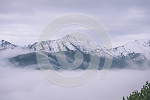 Mountain tops in autumn covered in mist or clouds- vintage effe