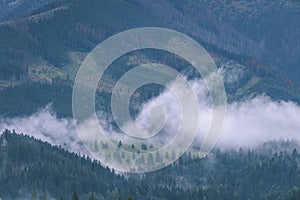 Misty morning view in wet mountain area in slovakian tatra - vintage film look