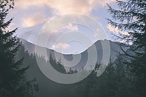 Misty morning view in wet mountain area in slovakian tatra - vintage film look