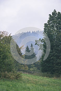 Misty morning view in wet mountain area in slovakian tatra - vintage film look