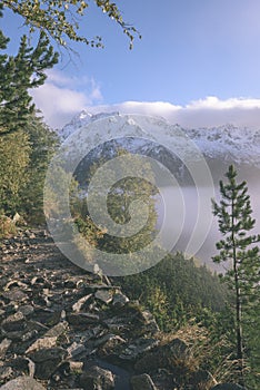 Misty morning view in wet mountain area in slovakian tatra - vintage film look