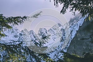 Misty morning view in wet mountain area in slovakian tatra - vintage film look