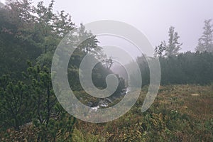 Misty morning view in wet mountain area in slovakian tatra - vintage film look