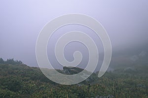 Misty morning view in wet mountain area in slovakian tatra - vintage film look