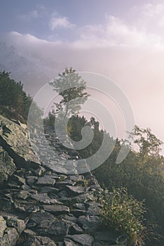 Misty morning view in wet mountain area in slovakian tatra - vintage film look