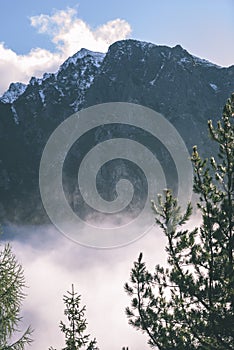 Misty morning view in wet mountain area in slovakian tatra - vintage film look