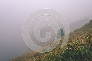 Misty morning view in wet mountain area in slovakian tatra - vintage film look