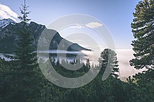 Misty morning view in wet mountain area in slovakian tatra - vintage film look