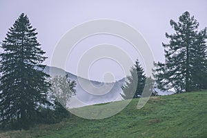 Misty morning view in wet mountain area in slovakian tatra - vintage film look