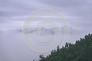 Misty morning view in wet mountain area in slovakian tatra - vintage film look