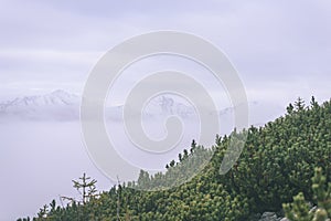 Misty morning view in wet mountain area in slovakian tatra - vintage film look