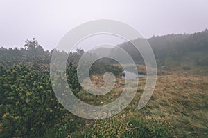 Misty morning view in wet mountain area in slovakian tatra - vintage film look