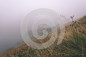 Misty morning view in wet mountain area in slovakian tatra - vintage film look