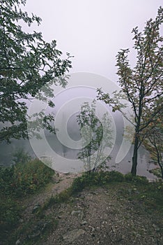 Misty morning view in wet mountain area in slovakian tatra - vintage film look