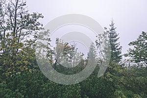 Misty morning view in wet mountain area in slovakian tatra - vintage film look