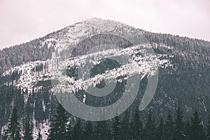 Vrcholy hôr v zime pokryté snehom - vzhľad vintage filmu