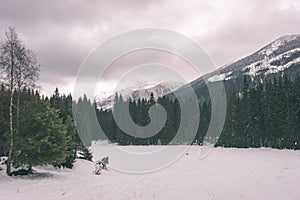 Mountain tops in winter covered in snow - vintage film look