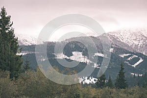 Mountain tops in winter covered in snow - vintage film look