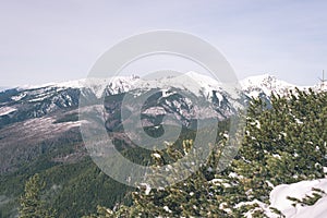 Mountain tops in winter covered in snow - vintage film look