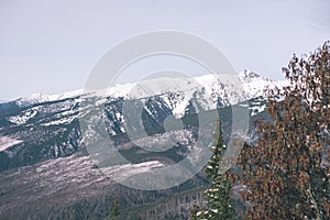 Mountain tops in winter covered in snow - vintage film look