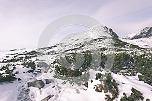 Mountain tops in winter covered in snow - vintage film look