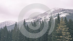 Mountain tops in winter covered in snow - vintage film look