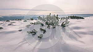 Mountain tops in winter covered in snow - vintage film look