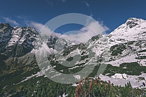 Mountain tops in winter covered in snow - vintage retro look