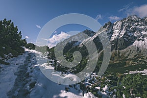 Mountain tops in winter covered in snow - vintage retro look