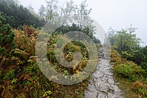 Horský turistický chodník na jeseň pokrytý hmlou