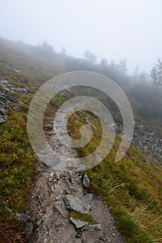 Mountain tourist trail in autumn covered in mist