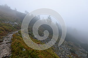 Mountain tourist trail in autumn covered in mist