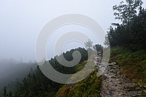 Mountain tourist trail in autumn covered in mist