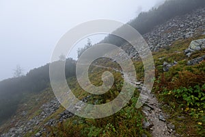 Mountain tourist trail in autumn covered in mist