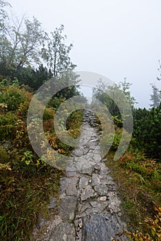 Mountain tourist trail in autumn covered in mist