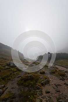 Mountain tourist trail in autumn covered in mist