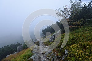 Mountain tourist trail in autumn covered in mist