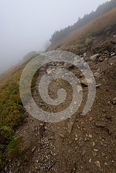 Mountain tourist trail in autumn covered in mist