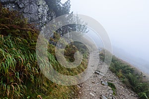Horská turistická stezka na podzim v mlze