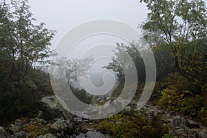 Mountain tourist trail in autumn covered in mist