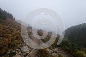 Mountain tourist trail in autumn covered in mist