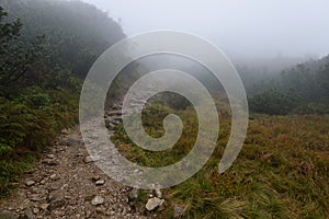 Mountain tourist trail in autumn covered in mist